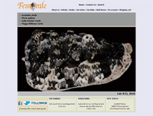 Tablet Screenshot of femorale.com
